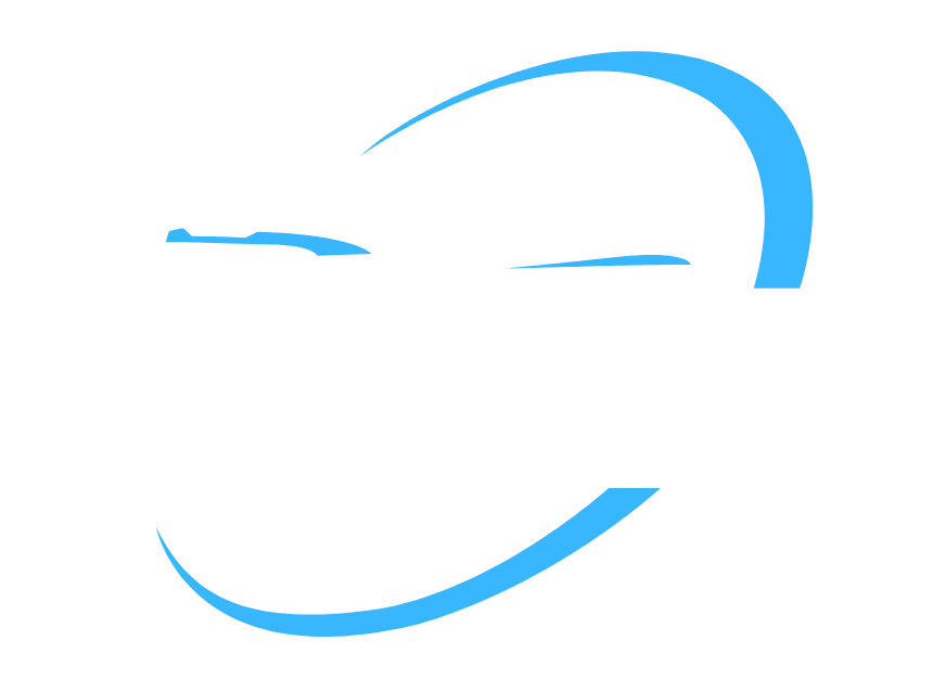 Ausi Vin Data